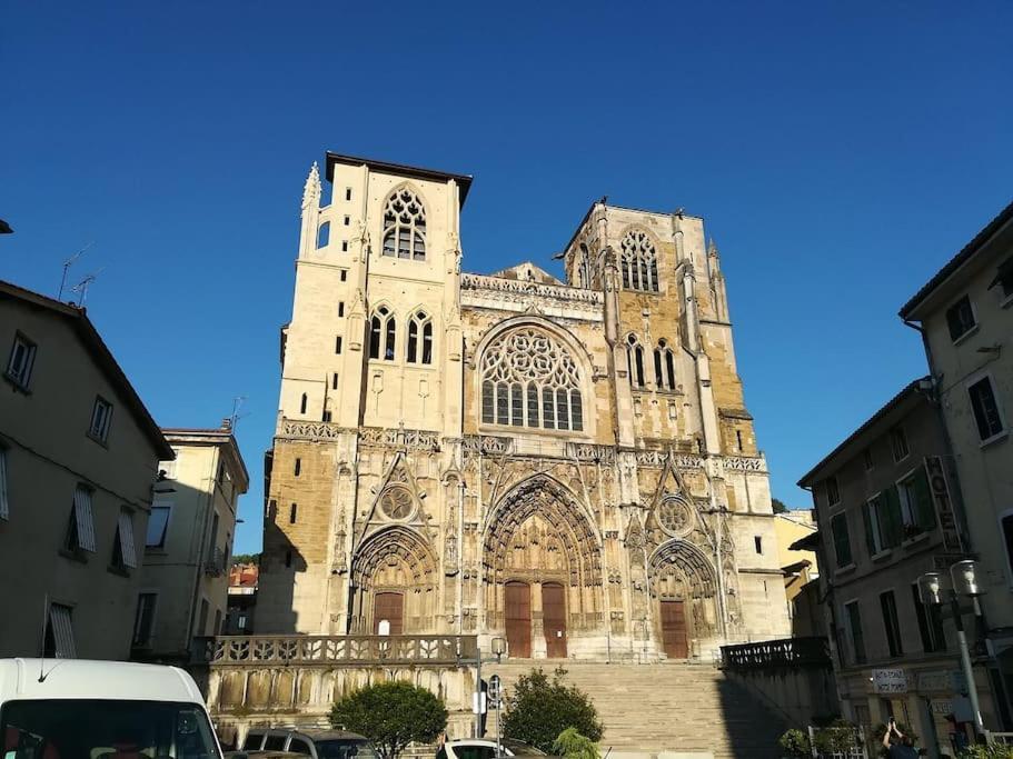 Vienne: Appartement Au Coeur Du Centre Historique Вьен Экстерьер фото