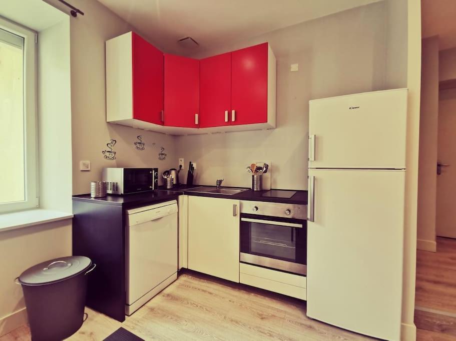 Vienne: Appartement Au Coeur Du Centre Historique Вьен Экстерьер фото